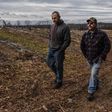 Hemp or Pot Farm? Police and Thieves Can't Always Tell