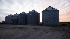 For a Rural Democrat, Talking Potatoes Is Easy. Impeachment Is Really Hard.