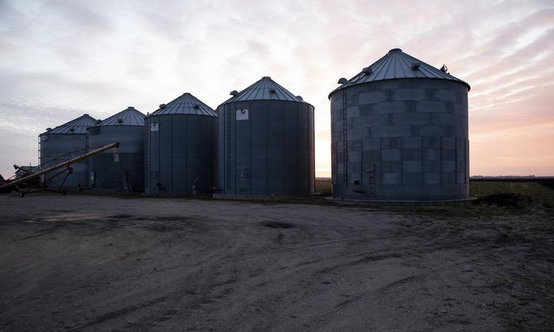 For a Rural Democrat, Talking Potatoes Is Easy. Impeachment Is Really Hard.