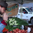These 2 Bodybuilders Tried Going Vegan for 30 Days