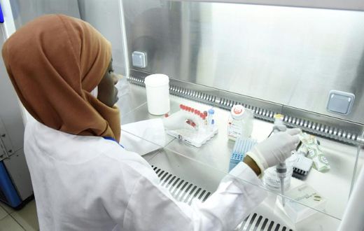 Hunting the virus: A worker in a secure lab at the Pasteur Institute in Dakar