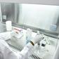 Hunting the virus: A worker in a secure lab at the Pasteur Institute in Dakar
