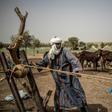 The impact of climate change has caused conditions in northern Nigeria to worsen