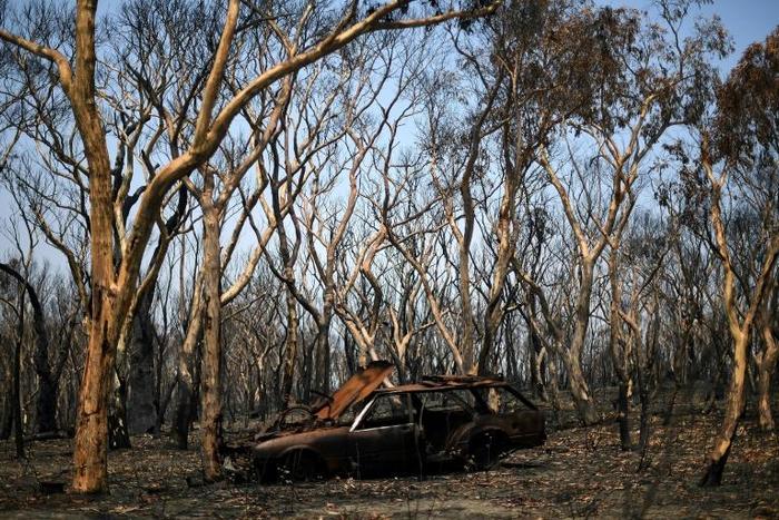 Months of bushfires in Australia have claimed 28 lives and and killed an estimated billion animals