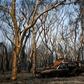 Months of bushfires in Australia have claimed 28 lives and and killed an estimated billion animals
