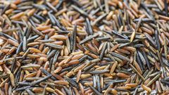 What's The Healthiest Rice?