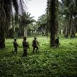 Troops from the UN's stabilisation force in the region are working with DR Congo forces against the militia at the end of October