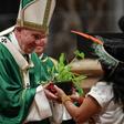 A Vatican meeting in October discussed challenges such as the destruction of the rainforest and the exploitation of indigenous peoples