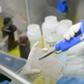 Scientists around the world are racing to develop a vaccine for the new coronavirus that emerged in China late last year