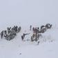 The bodies of more than two dozen rescue workers and civilians were discovered in Van province, where they had been helping dig out a minibus buried by a first avalanche late Tuesday