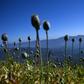 Myanmar's multi-billion dollar drug industry is centred in Shan in the country's east, where the poppy-covered hills also hide illicit production labs
