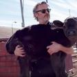 Joaquin Phoenix Rescues Calf From Slaughterhouse
