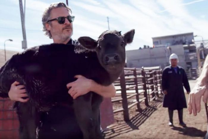 Joaquin Phoenix Rescues Calf From Slaughterhouse