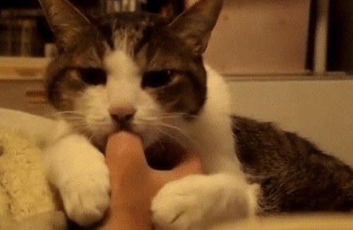 Sucking thumb gif (Imgur)