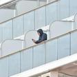 Many passengers stuck on the cruise ship are whiling away the hours on social media