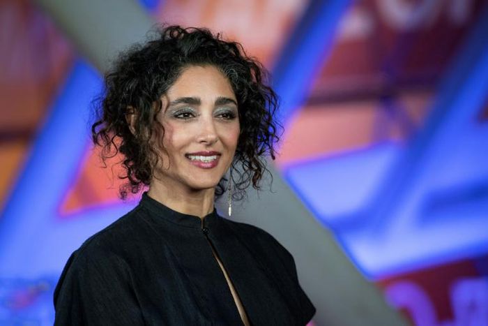 Iranian actress Golshifteh Farahani, seen here at the Marrakesh International Film Festival, lives in exile in France