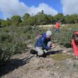 Volunteers  plant trees on the Kesra mountains in Tunisia's Siliana region