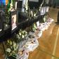 Most of the victims were Iranian and Canadian citizens
