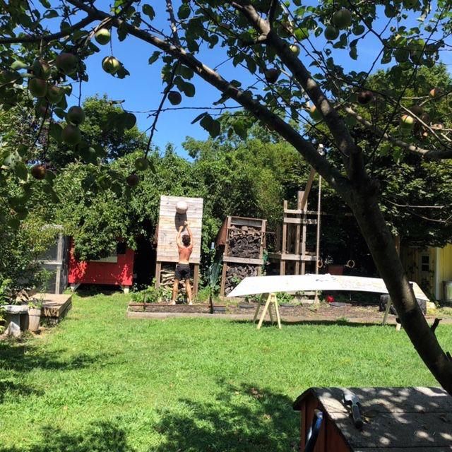 Chivers outdoor gym, flourishing with foliageand wallball drills.