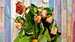 Withered roses (ChromeThemer)