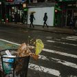 Get Ready, New York: The Plastic Bag Ban Is Starting