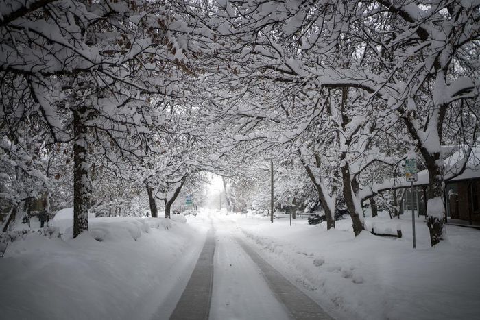 Severe Weather Hampers Travel Before Thanksgiving