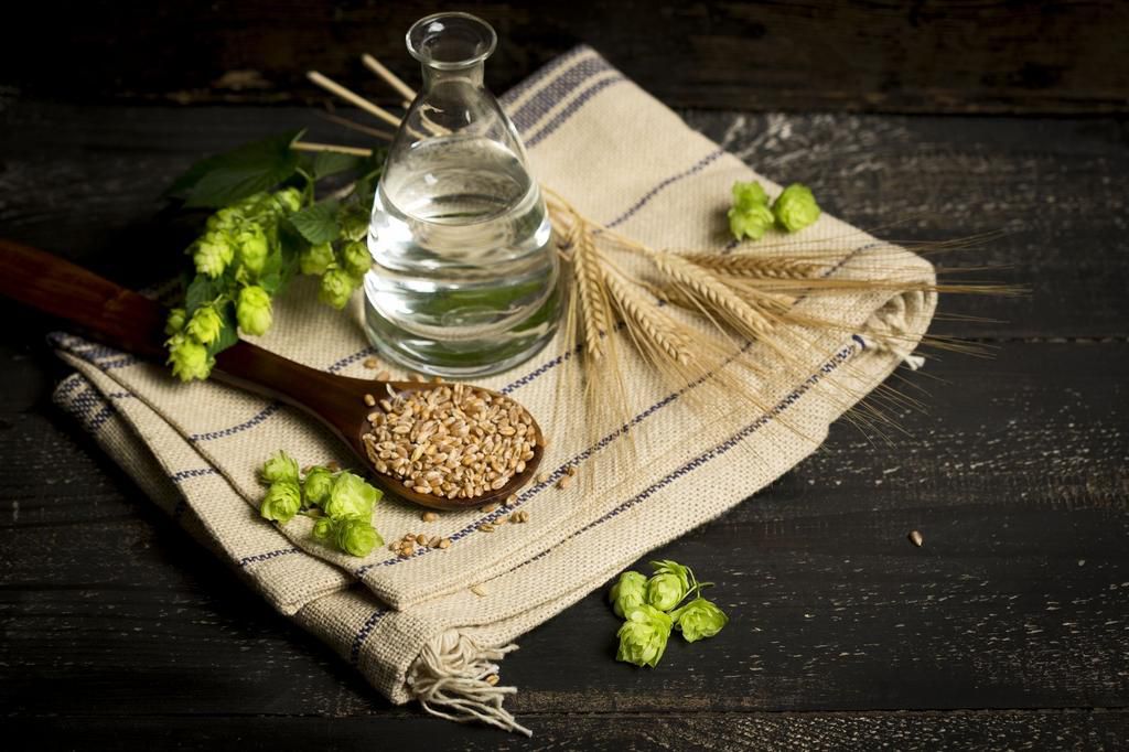 Ingredients for brewing beer, hops, water, barley