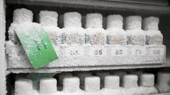 How Contaminated Stool Stored in a Freezer Left a Fecal Transplant Patient Dead