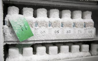 How Contaminated Stool Stored in a Freezer Left a Fecal Transplant Patient Dead