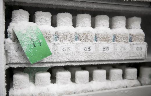 How Contaminated Stool Stored in a Freezer Left a Fecal Transplant Patient Dead