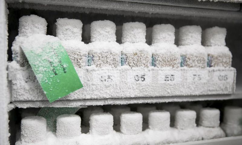 How Contaminated Stool Stored in a Freezer Left a Fecal Transplant Patient Dead