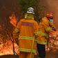 Bushfires are common in the country but scientists say this year's season has come earlier and with more intensity due to a prolonged drought and climatic conditions fuelled by global warming