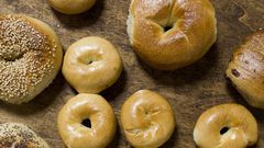 Toasted Bagel? Roasted Mayor