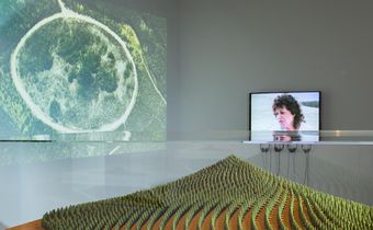 At 88, Agnes Denes Finally Gets the Retrospective She Deserves
