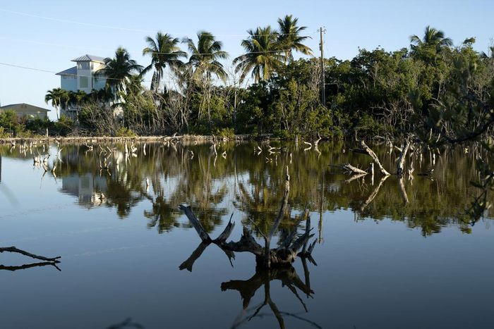 Florida Keys Deliver a Hard Message: As Seas Rise, Some Places Can't Be Saved
