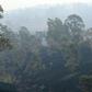 Swathes of land have been left charred by bushfires in Australia's New South Wales