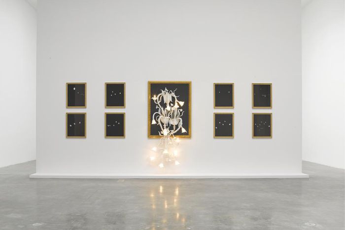 A (Brief) Guide to Miami Art Fairs