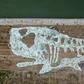 China environmentalists created a 68-metre long whale formed by plastic waste collected from the ocean in June 2019 to draw attention to the problem