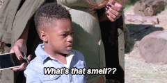 Smell gif (BuzzFeed)