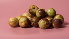 Red jujubes on pink background