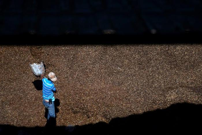Coffee prices in commodity markets have dropped dramatically