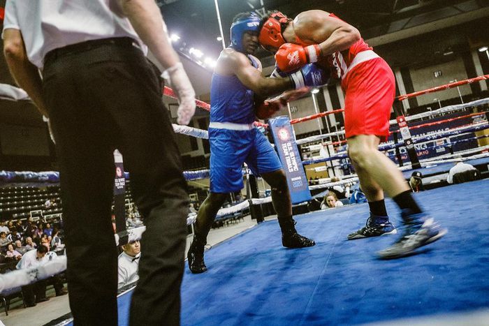 To Live and Box in New York