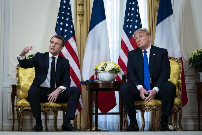 How a Trillion Trees Triumphed Over Trump's Climate Denialism