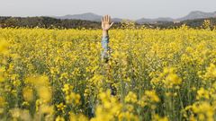 6 Easy Ways to Prevent Seasonal Allergies