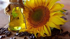 Sunflower oil (Wikipedia)
