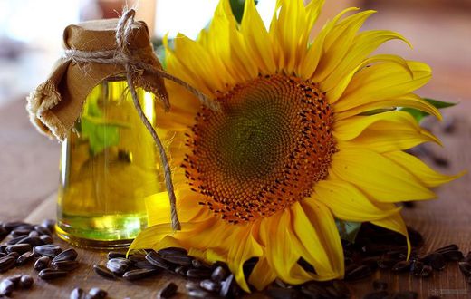 Sunflower oil (Wikipedia)