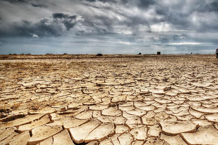 Dr. Pimple Popper Removes Crusty, 'Dried Up' Black