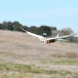Researchers at Stanford University said they had studied the wings of common pigeon cadavers, then used their findings to build a radio-controlled robot with wings made with 40 real feathers