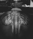 Harmonize gets huge elephant tattoo on his back and fans can’t keep calm (Photos)