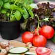 What's the Difference Between Paleo and Keto?